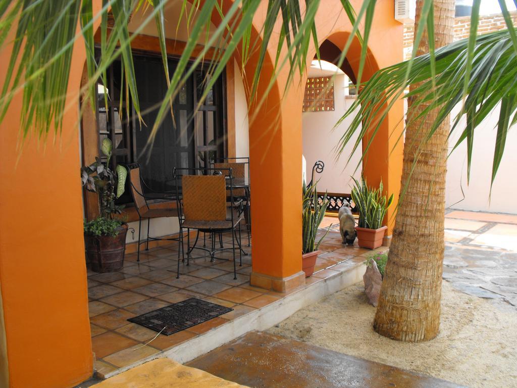 Leo'S Baja Oasis Hotel La Paz Cameră foto